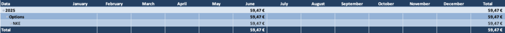 Optionsdepot & Einkommen durch den Optionshandel - Offene Optionen Tabelle 2025