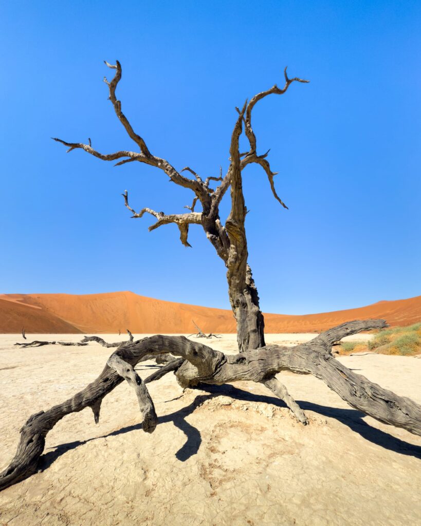 Was war. Was wird. 2025 & 2026-1020