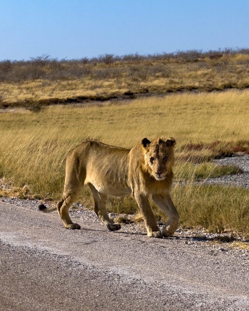 Was war. Was wird. 2025 & 2026-1025