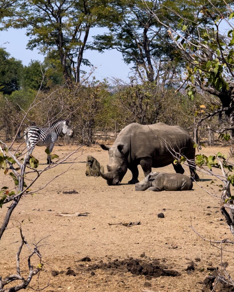 Was war. Was wird. 2025 & 2026-1034