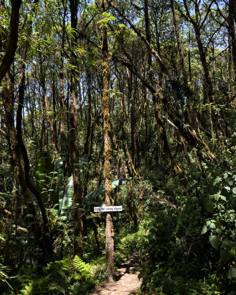 Was war. Was wird. 2025 & 2026-1039