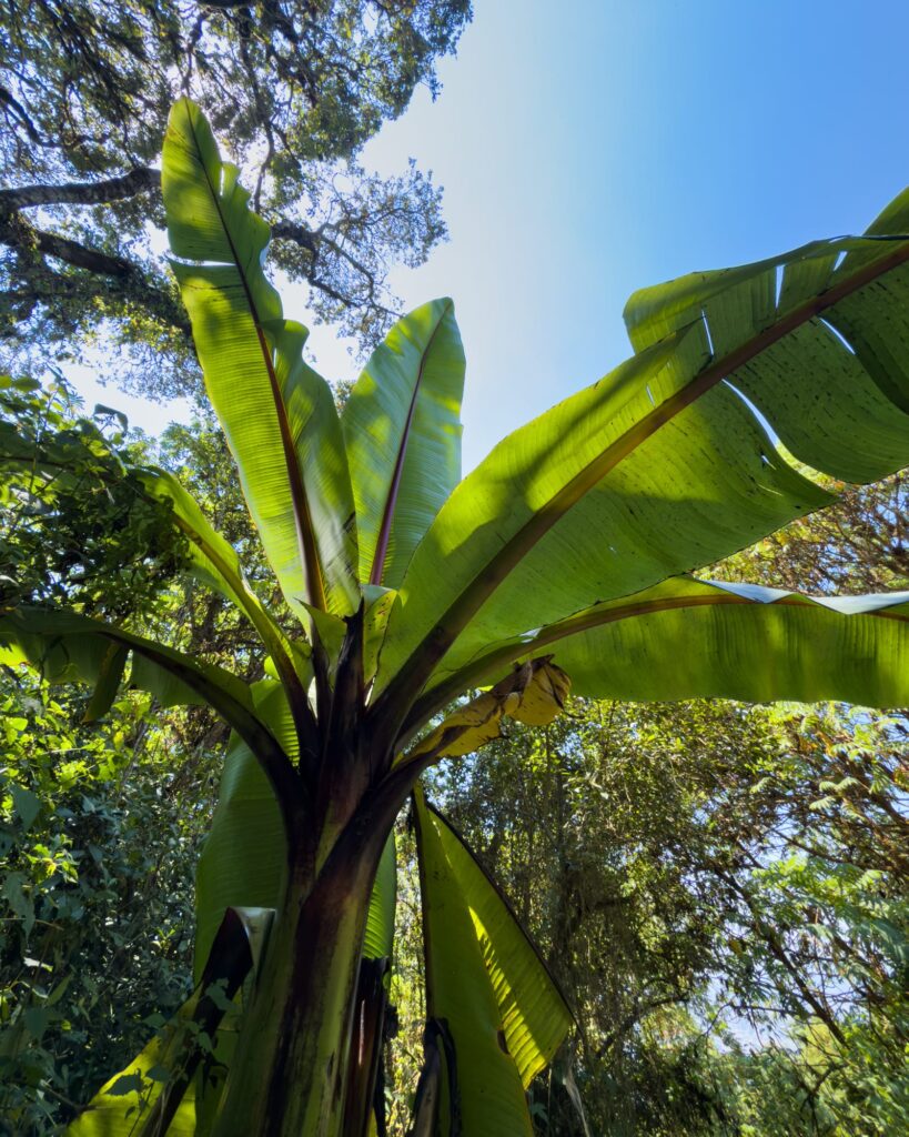 Was war. Was wird. 2025 & 2026-1040